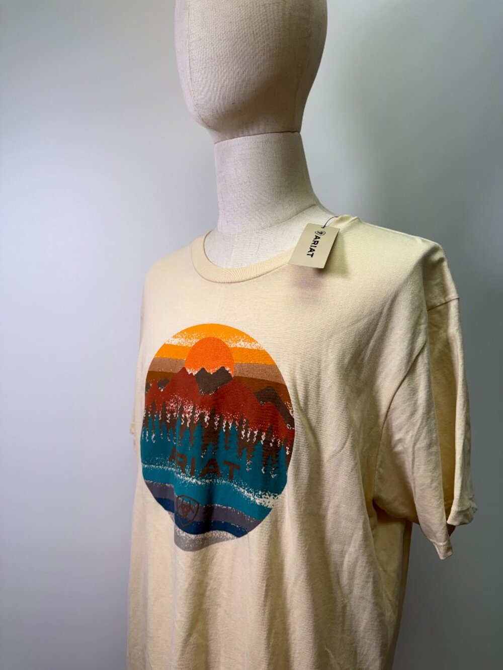 Ariat Men’s Gait Scene Graphic T-Shirt XL Wood Ash NWT Western Outdoor